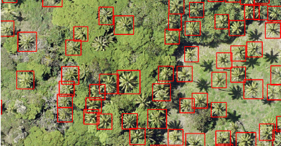 Tree Mapping Example