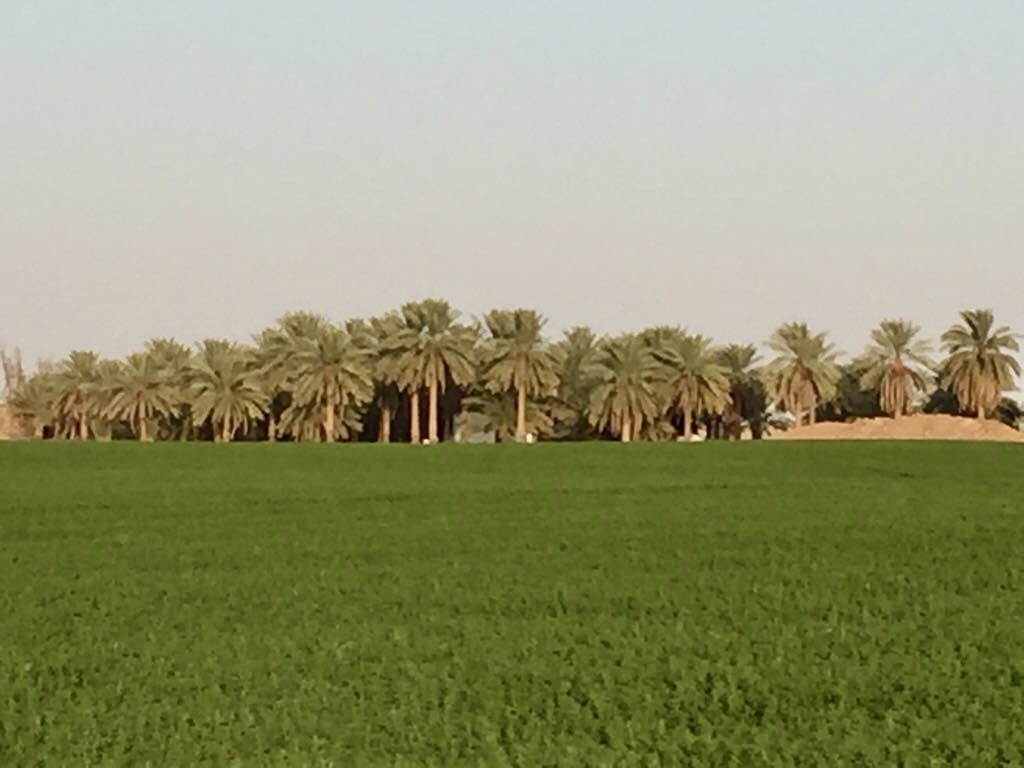 Our competitive advantage